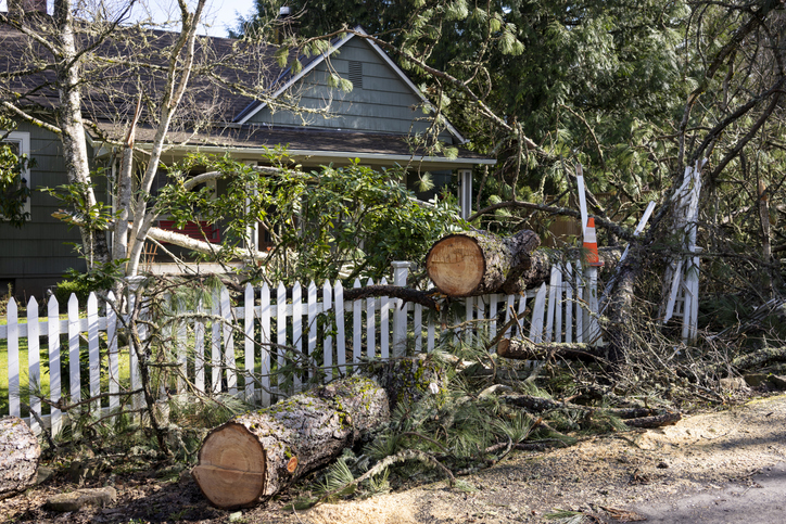 house with fallen trees after a strom
