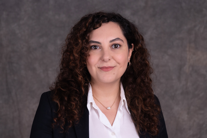 Ani Garibyan - Goldberg Segalla