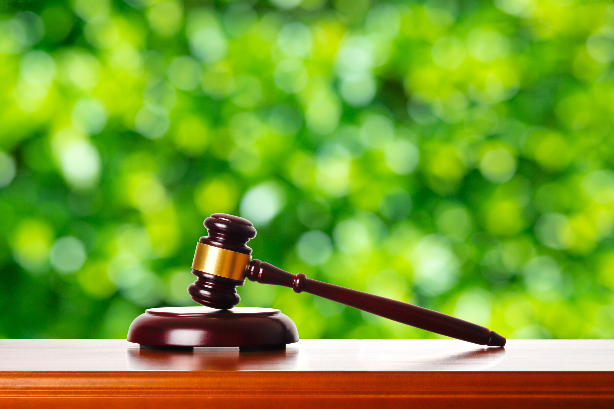 Gavel and green blur background