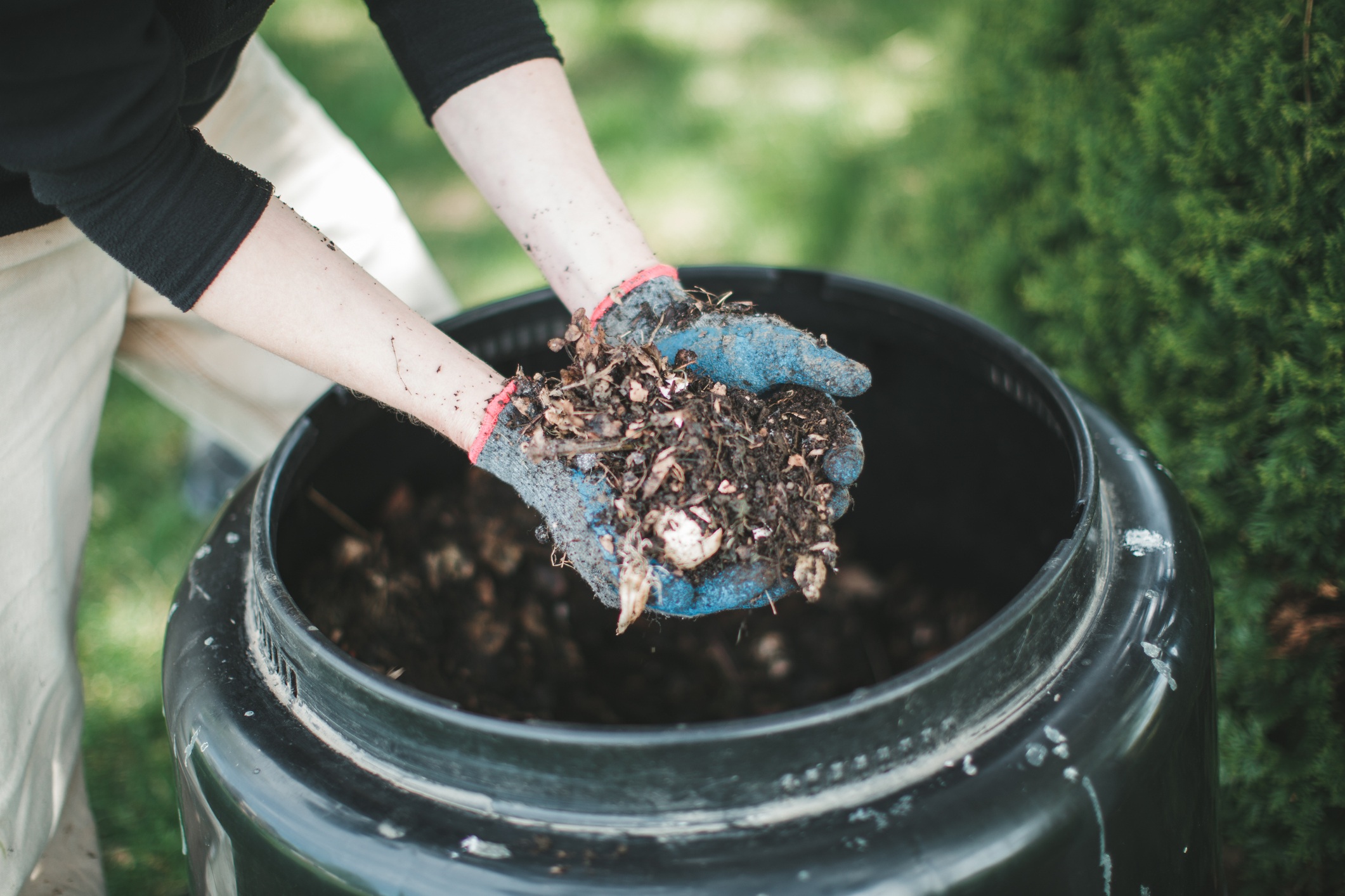 Man showing compost