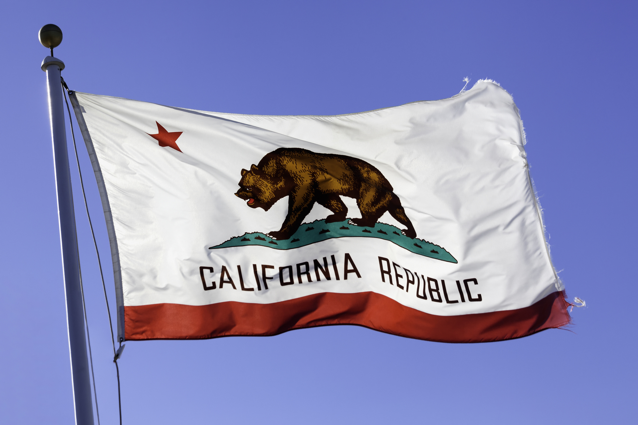 Flag of California