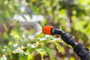Spraying trees against pests